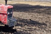 Yerköy’de buğday tarlasında yangın, araziler küle oldu, failler aranıyor