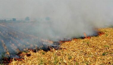 Yerköy İlçe Tarım ve Orman Müdürlüğü’nden, Çiftçilere Anız Yakmanın Zararlarına Karşı Uyarı