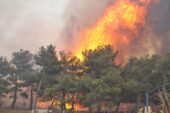 Çanakkale’deki Yangın Felaketinde İlerleme Durduruldu, 575 Hektar Zarar Gördü