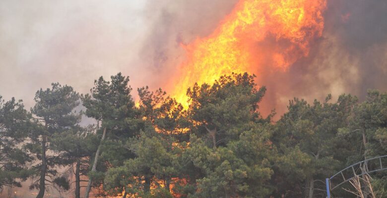 Çanakkale’deki Yangın Felaketinde İlerleme Durduruldu, 575 Hektar Zarar Gördü