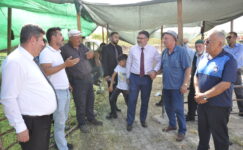 Başkan Arslan, Kurban Bayramı öncesi hayvan pazarında üreticilerle buluştu