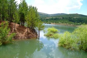 Türkiye genelinde meteorolojik şartlar bakımından yangın riski taşıyan Yozgat dahil