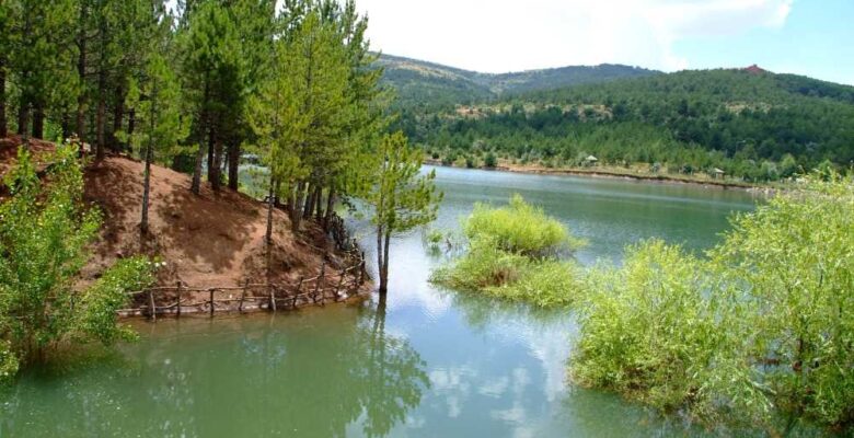 Yangın riskine karşı 39 ilde ormanlara giriş yasaklandı, Yozgat’ta dahil