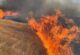 Buğday tarlasında yangın, 1000 dekar alan zarar gördü