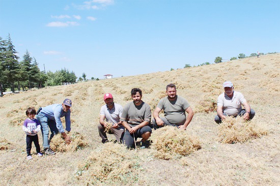 Yozgat İl Tarım ve