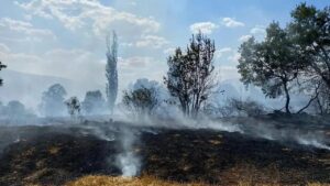 Aydıncık ilçesine bağlı Kösrelik köyünde çıkan yangın, itfaiye ekiplerinin hızlı