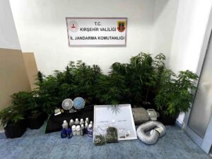 Komşuda Kırşehir’de Yasa Dışı Kenevir Operasyonu