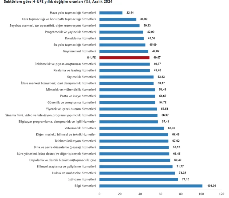 2024 yılında sektörlere göre Hizmet Üretici Fiyat Endeksi (H-ÜFE)’nde en
