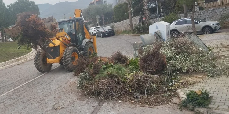 İzmir’de Güzelbahçe Belediyesi, ilçenin çeşitli noktalarına gelişigüzel atılan, bahçe atıkları,