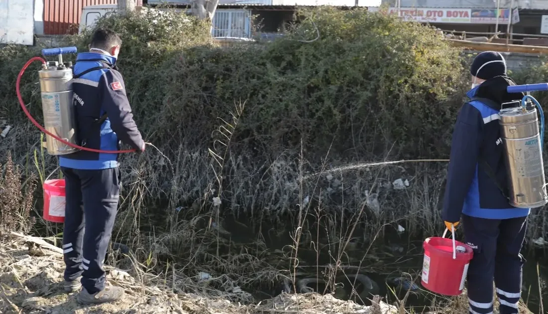 Dalaman Belediyesi, Muğla Büyükşehir Belediyesi’nin destekleriyle sivrisinek ile mücadele çalışmalarına