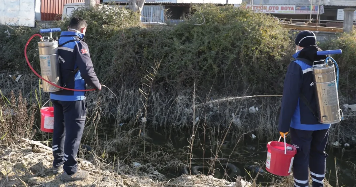 Dalaman Belediyesi, Muğla Büyükşehir Belediyesi’nin destekleriyle sivrisinek ile mücadele çalışmalarına