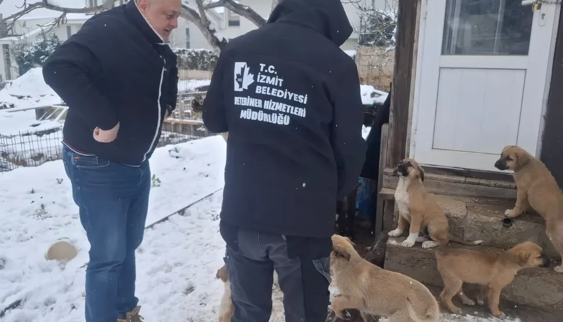 Kocaeli İzmit Belediyesi, kar yağışının etkisini gösterdiği kent genelinde patili dostlarımızı