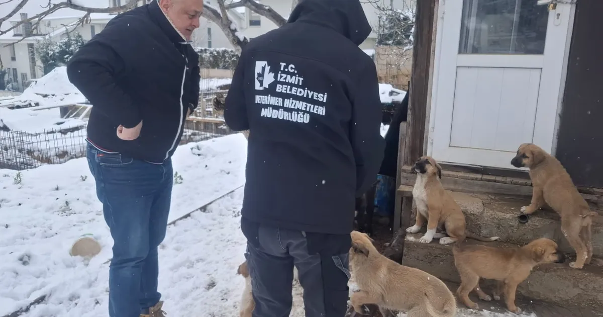 Kocaeli İzmit Belediyesi, kar yağışının etkisini gösterdiği kent genelinde patili dostlarımızı