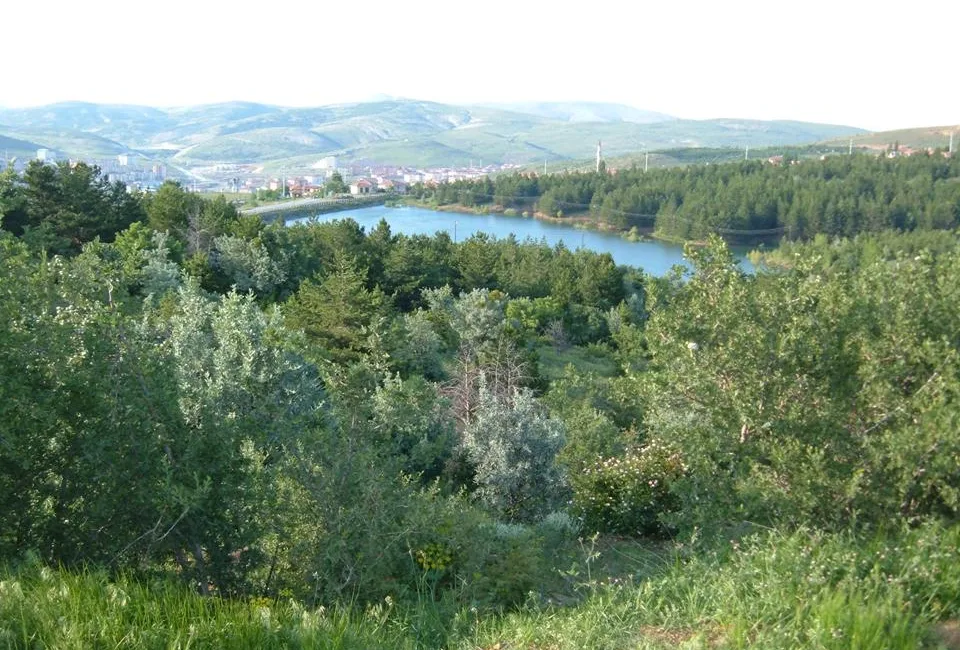 Yozgat Çamlık Milli Parkı 1958 yılında milli park ilan edilmiştir.