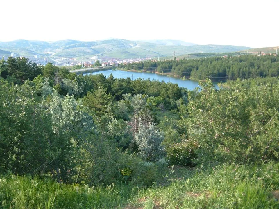 Yozgat Çamlık Milli Parkı 1958 yılında milli park ilan edilmiştir.