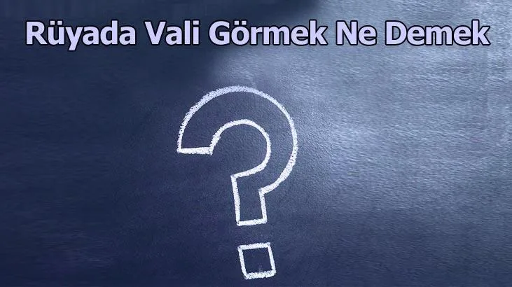 Bir şehri yöneten ve merkeze bağlı olan kişiler vali olarak