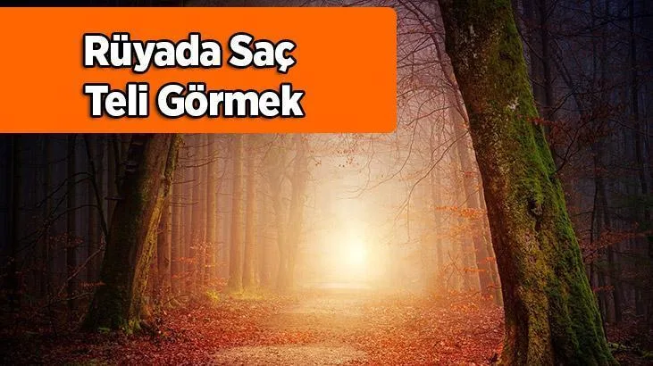 Rüyada saç teli görmek, kişinin şüphe duyacağı şeyler yaşayacağına delalet