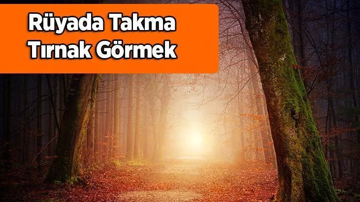 Güzel bir görünüm elde edebilmek için en çok kullanılan süslerden