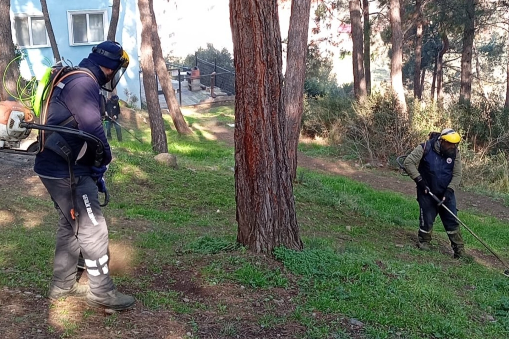 Bursa Gemlik Belediyesi Park ve Bahçeler Müdürlüğü ekipleri, ilçe genelinde