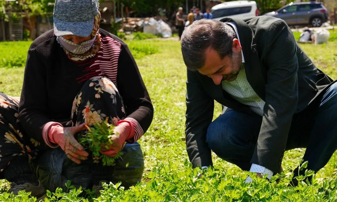 Bursa Gürsu Belediyesi ARGE Müdürlüğü’nün, ilçenin tarımını dönüştürecek yeni projesi