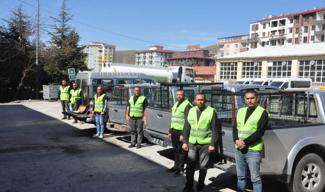 Vali Mehmet Ali Özkan’ın talimatıyla başlatılan projeyle, sahipsiz hayvanların bakım