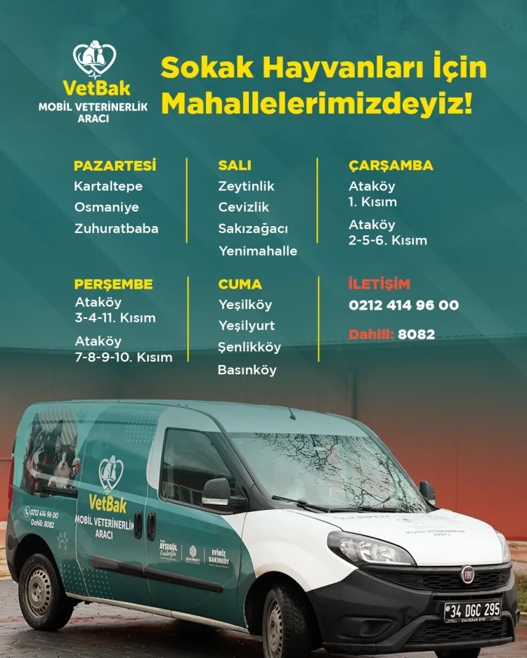 İstanbul Bakırköy Belediyesi, sokak hayvanları için mobil veterinerlik aracını hayata